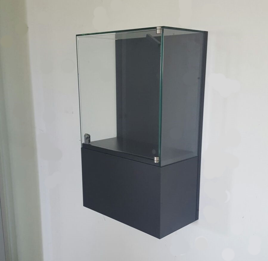 Moderne Wandvitrine PUR-105