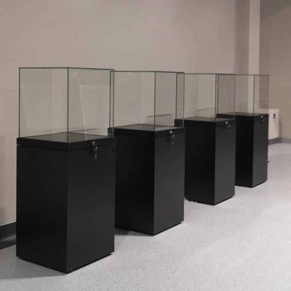 Museumsvitrine Kubus PUR-162