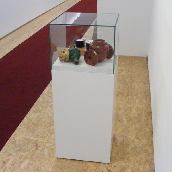 Haubenvitrine 50x50 PUR-37